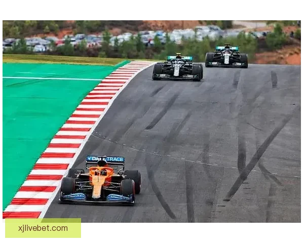 世界杯竞猜赔率平台全面分析与精准预测助你赢得大奖