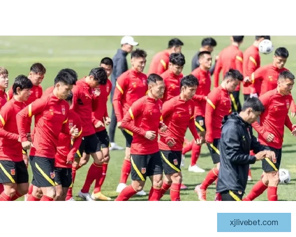 2026世界杯足球精彩竞猜投注攻略与实用技巧全解析